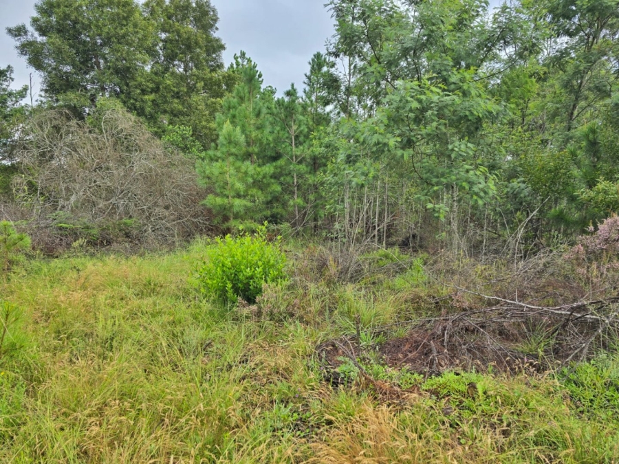 Commercial Property for Sale in Wilderness Heights Western Cape